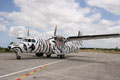 ©Damien Allard - French Fleet Air Arm