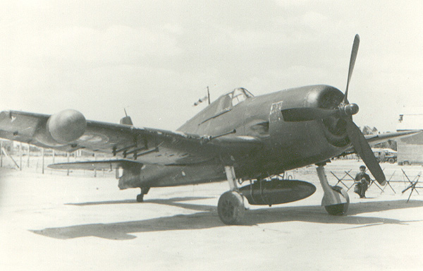 hellcat-001.jpg