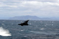 Démonstration d'un Rafale M pour les marins du Charles de Gaulle. (©French Fleet Air Arm)