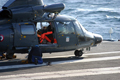 ©French Fleet Air Arm