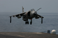 Sea Harrier Mk 51 du 300sq en provenance du Viraat appontant sur le Charles de Gaulle. (©French Fleet Air Arm)